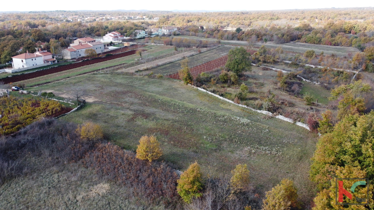Istra - Svetvinčenat, zemljišče 5700m2 na mirni lokaciji